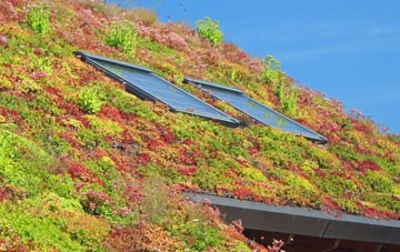 Middlebie living roof systems